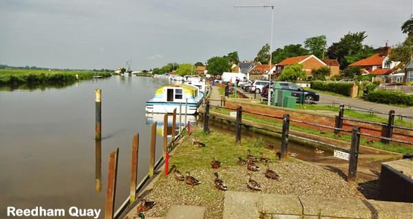 Springtime in Reedham